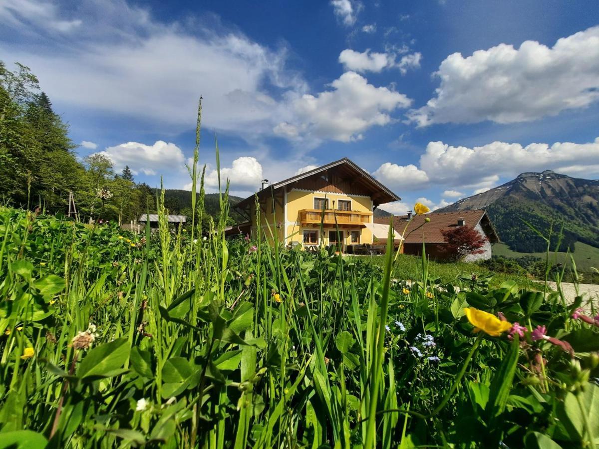 Appartement Reitlhof, Bio Berg Bauernhof Krispl Dış mekan fotoğraf