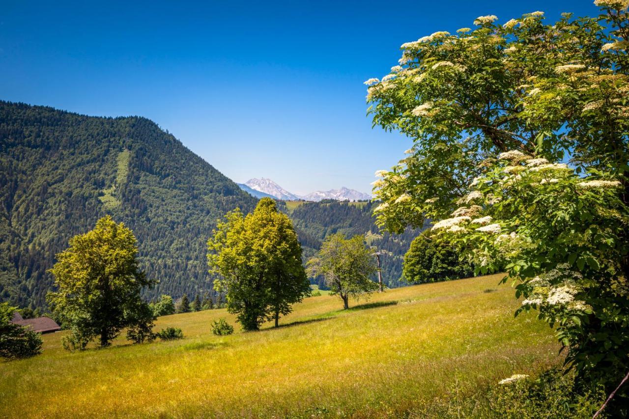 Appartement Reitlhof, Bio Berg Bauernhof Krispl Dış mekan fotoğraf